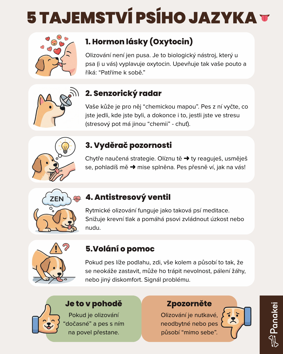 Infografika Panakei - proč mě pes olizuje? 